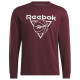 Reebok Ανδρική μακρυμάνικη μπλούζα BB Seasonal LS Tee